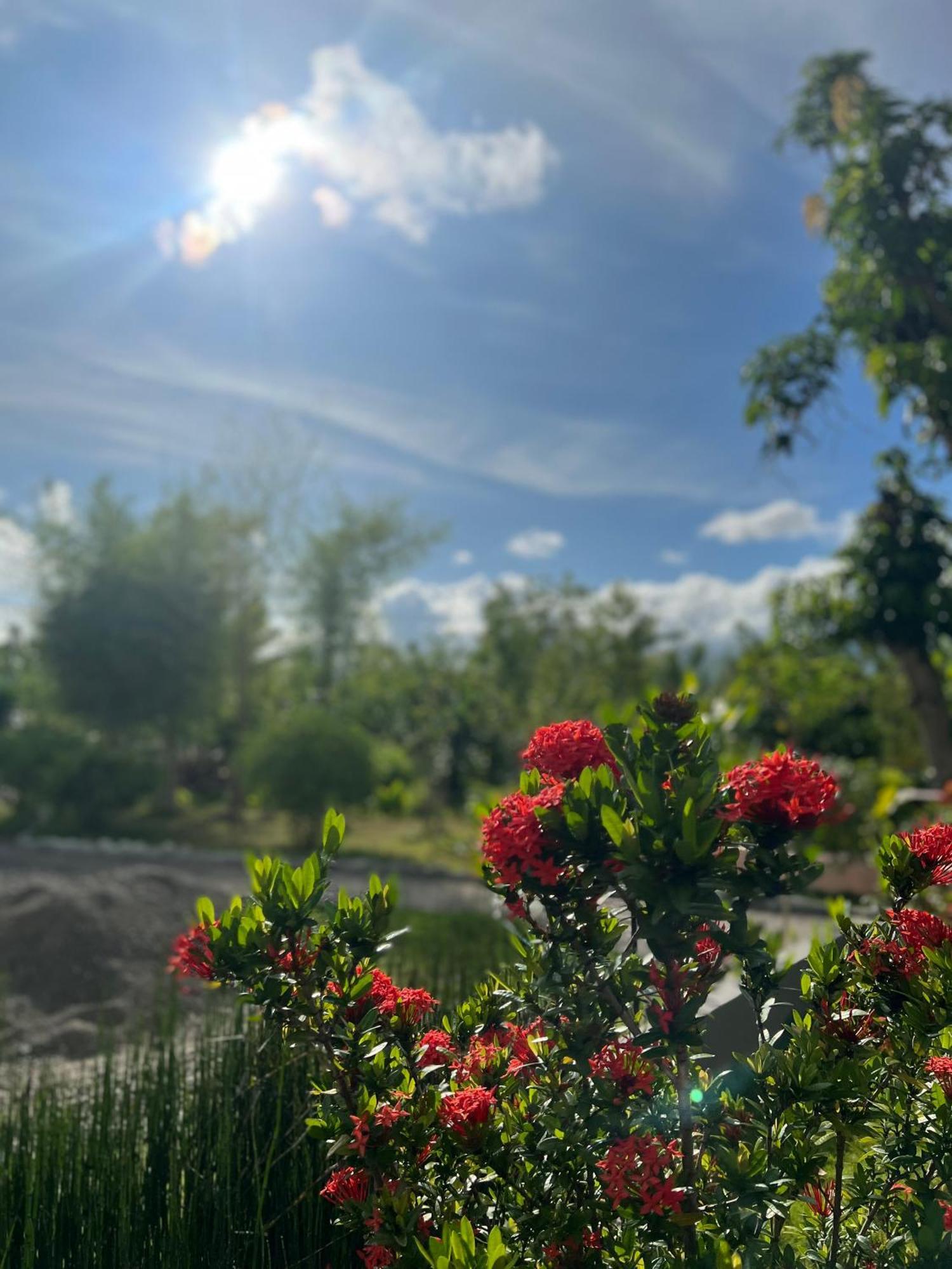 La Plumerias Moalboal Exteriér fotografie