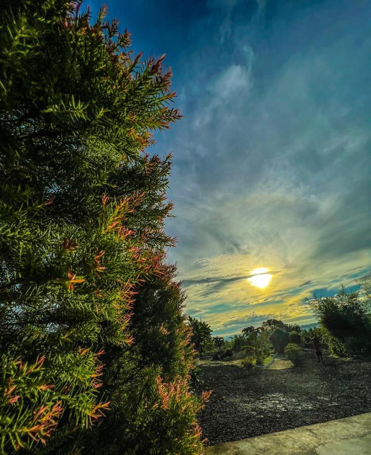 La Plumerias Moalboal Exteriér fotografie