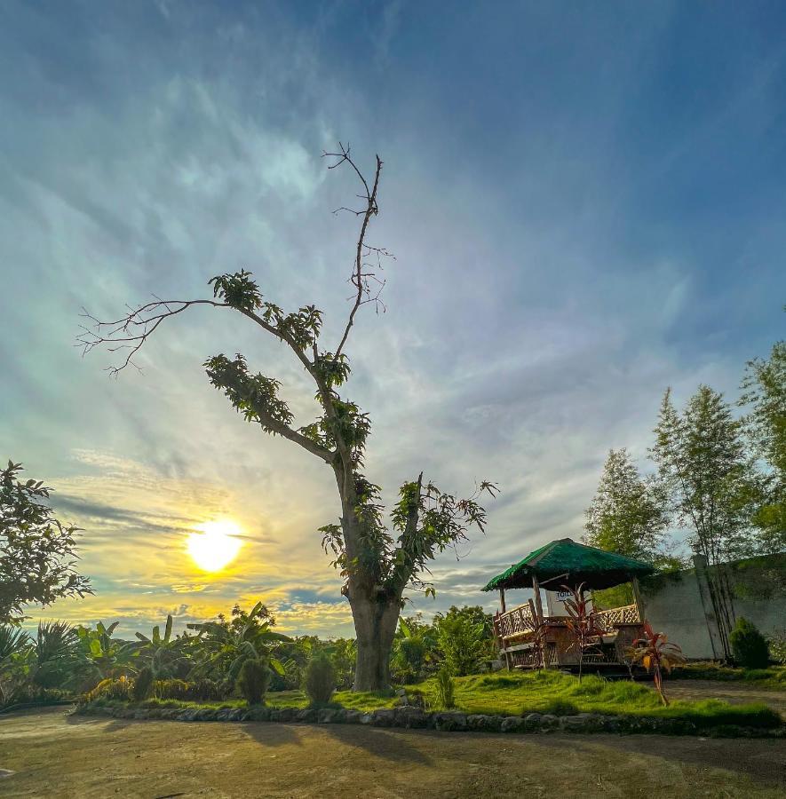 La Plumerias Moalboal Exteriér fotografie