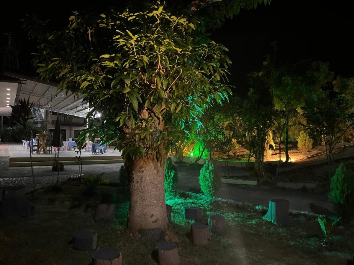 La Plumerias Moalboal Exteriér fotografie