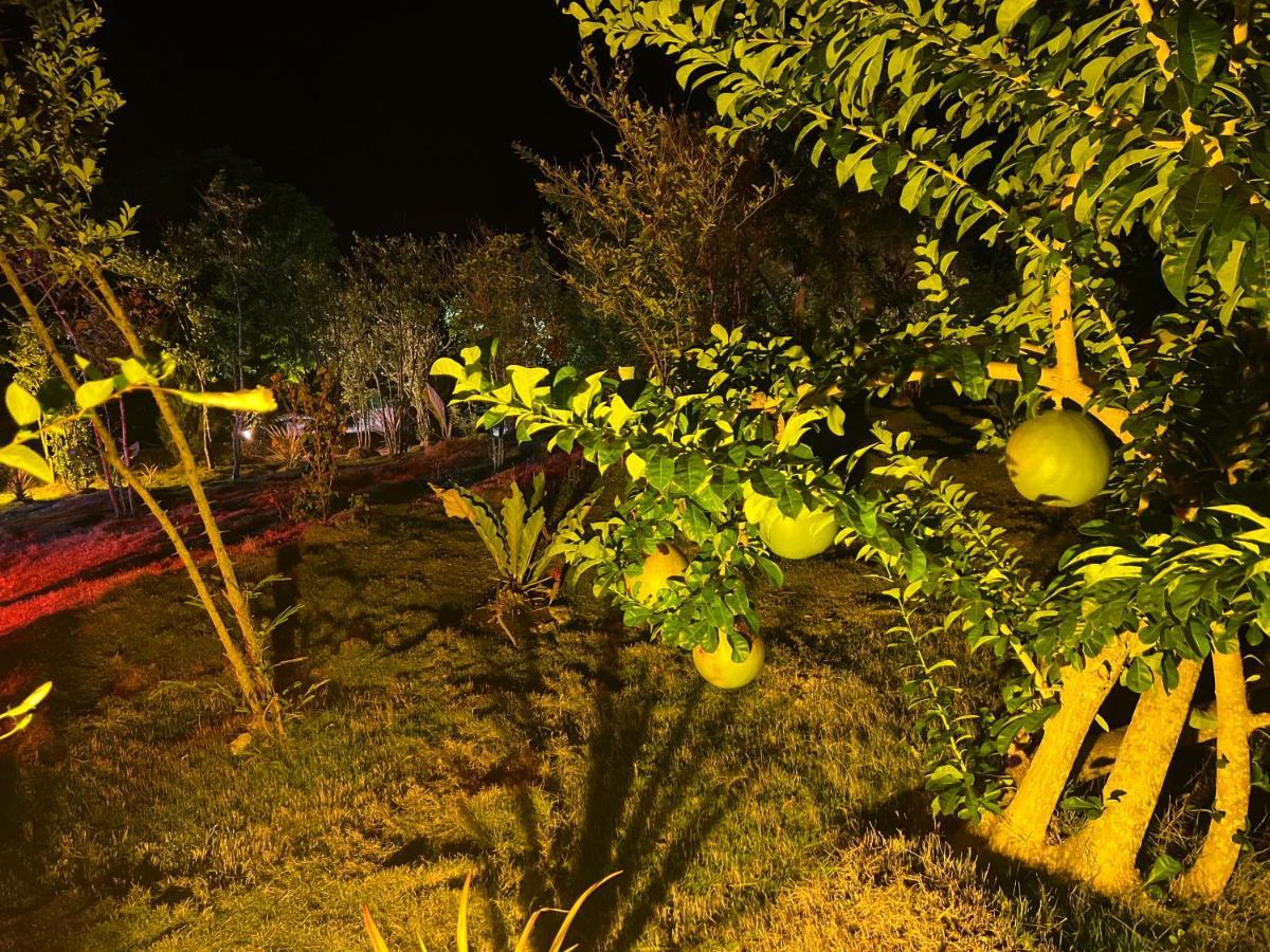 La Plumerias Moalboal Exteriér fotografie