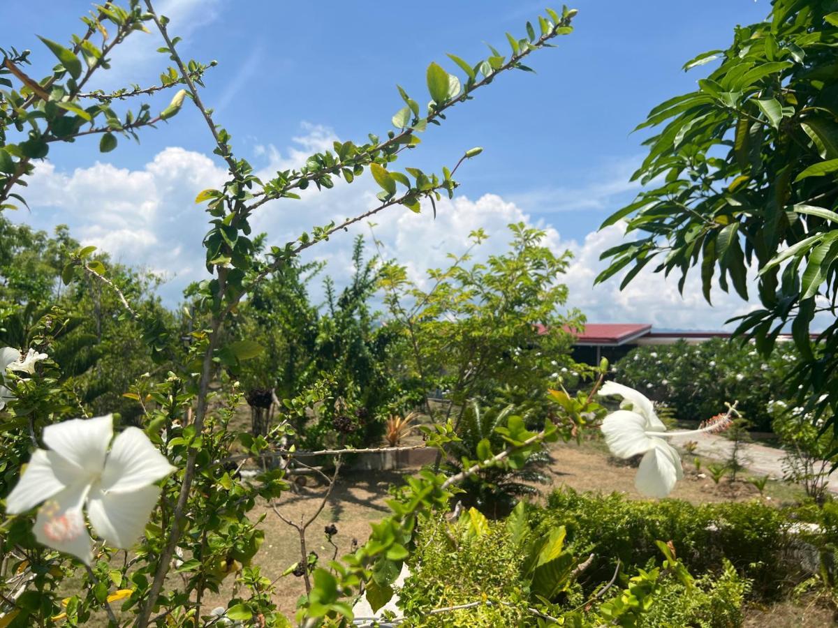 La Plumerias Moalboal Exteriér fotografie