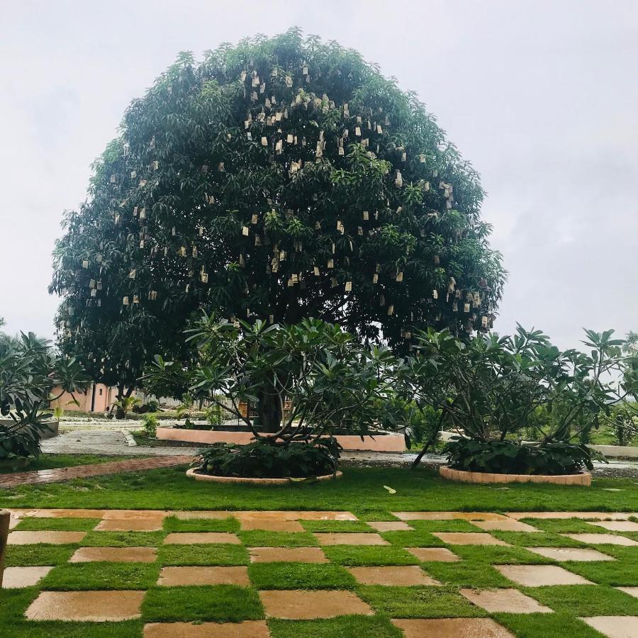 La Plumerias Moalboal Exteriér fotografie
