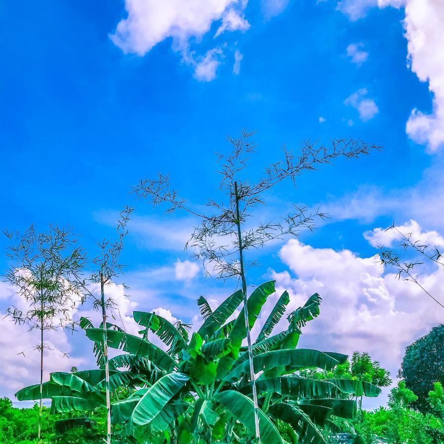 La Plumerias Moalboal Exteriér fotografie